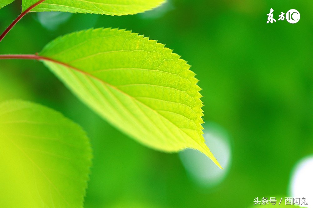 十二星座星盘抑郁症,十二星座抑郁症排名榜