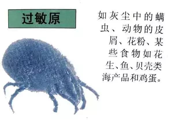 每晚咳嗽怎么回事,变异性哮喘是咳嗽时间长引起的吗