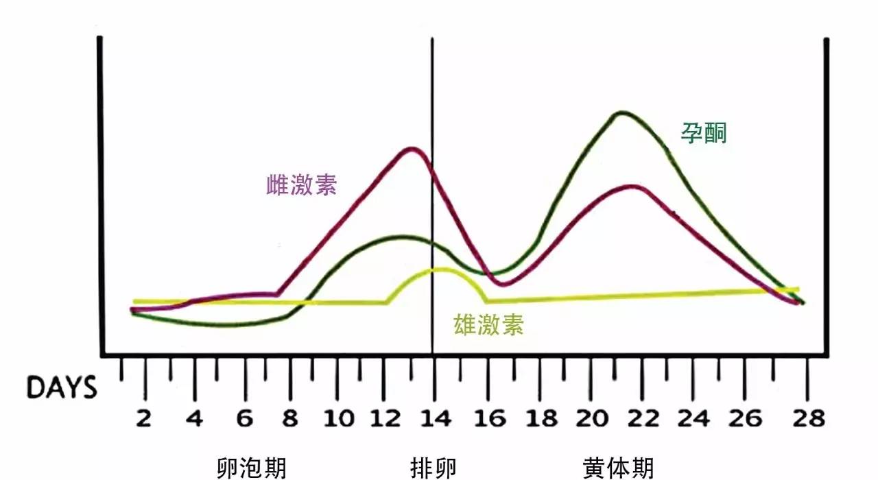 反复流产，是免疫系统出错了吗？