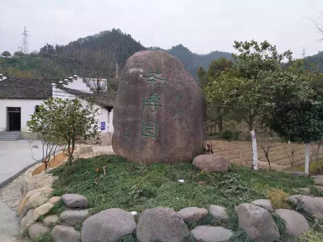 茶产业转型升级的意义,茶产业转型升级的建议