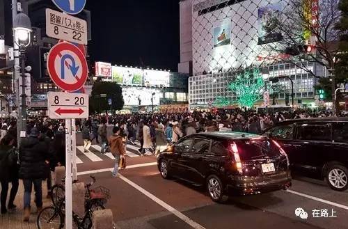 东京盛开的花,东京行走的画卷