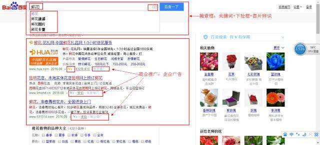往上搜资料难吗？简单吗？看看搜索框的组成吧