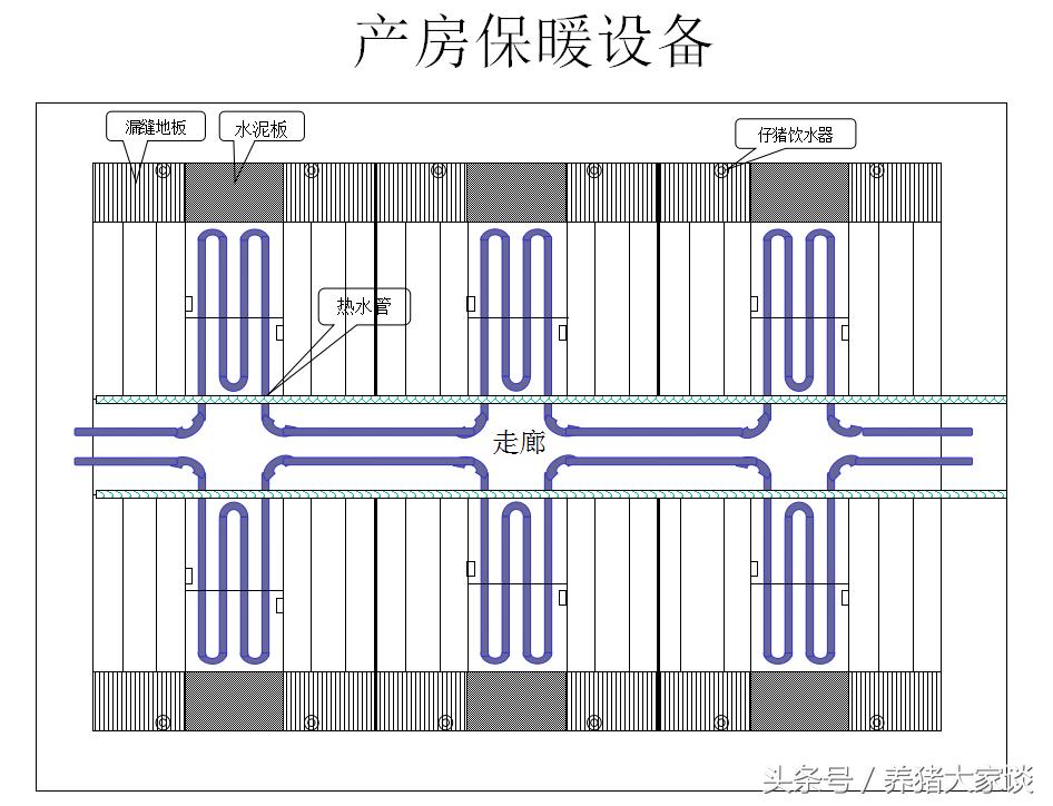 现代养猪的简易猪舍建造,自繁自养猪舍建设