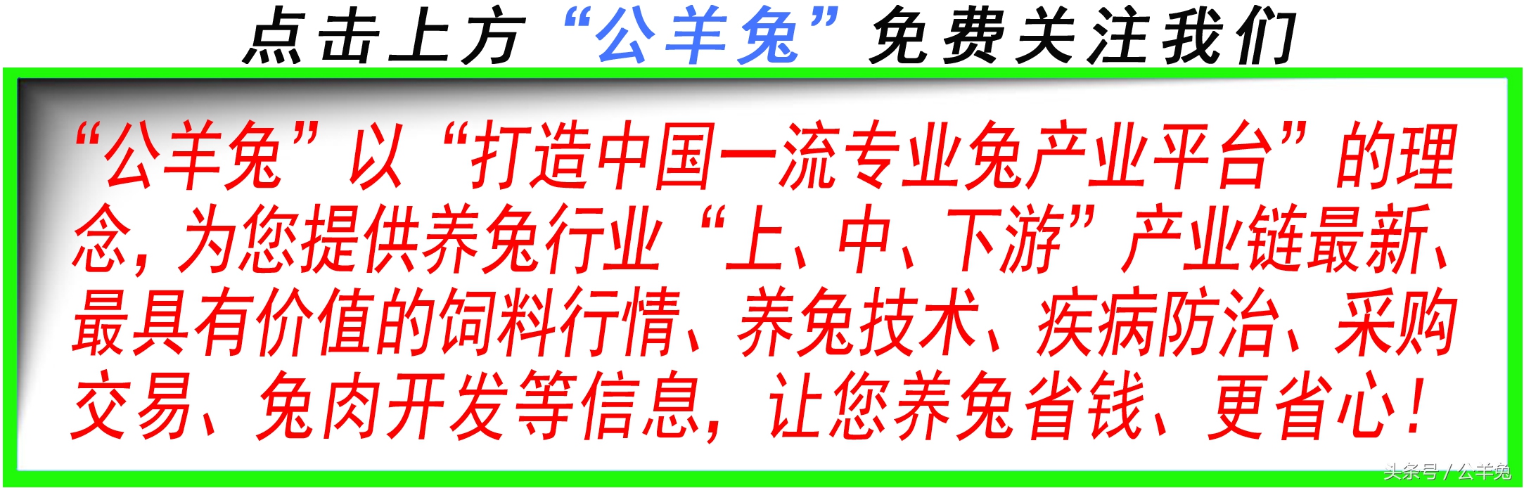 养兔知识兔子怎样补充营养,养兔高手教你养兔七个技巧