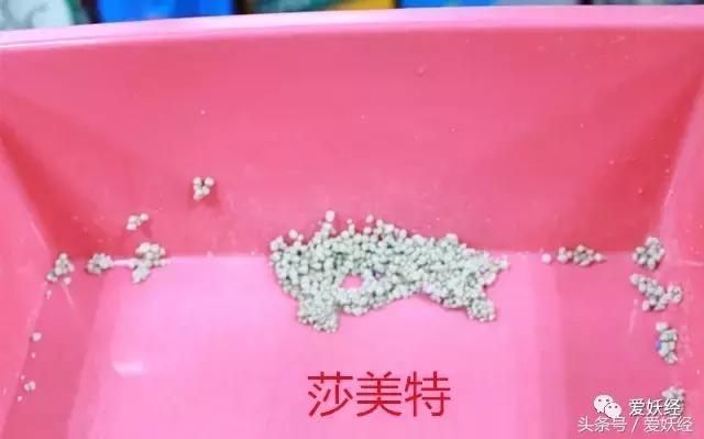 膨润土混合猫砂推荐排行榜,15-25的膨润土猫砂测评推荐