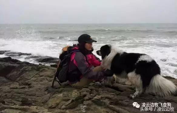 使狗狗快乐的动作,使狗狗开心的声音