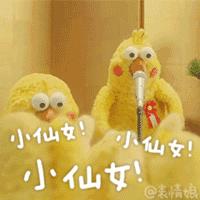 最近霸屏的小黄鸡表情包,最近很火的沙雕小黄鸡表情包