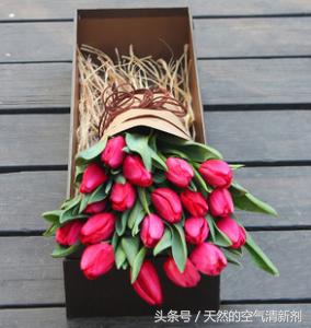 情人节手拿满天星花束最新款图片,情人节创意花束一秒征服吃货的心