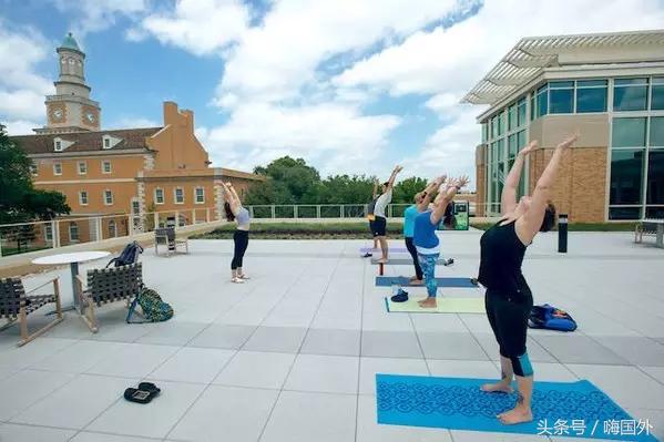 加拿大挣钱视频,加拿大最挣钱街边小吃