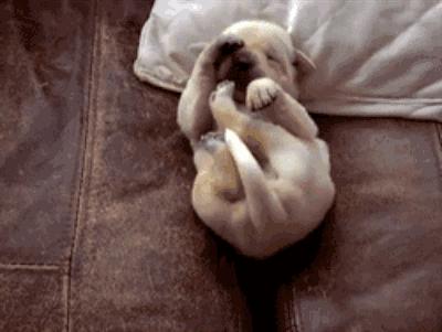 2017年，我在扶绥期待与你相遇