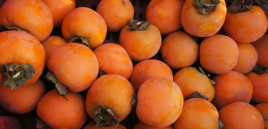 永定土楼美食,永定特色美食农家菜