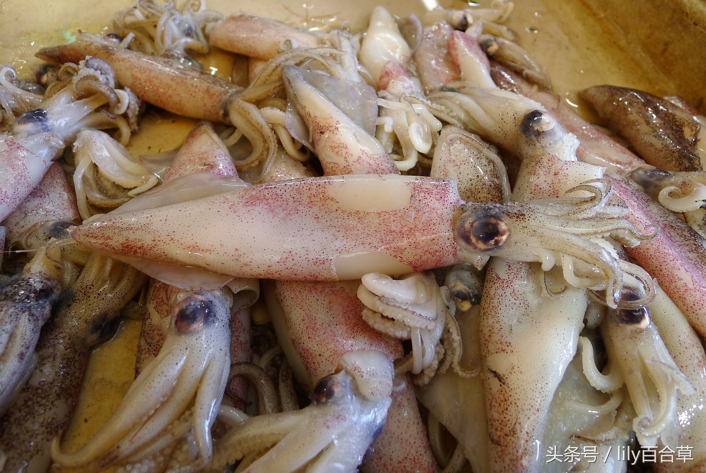 吃海鲜适合带什么,回家路上可以带海鲜吗