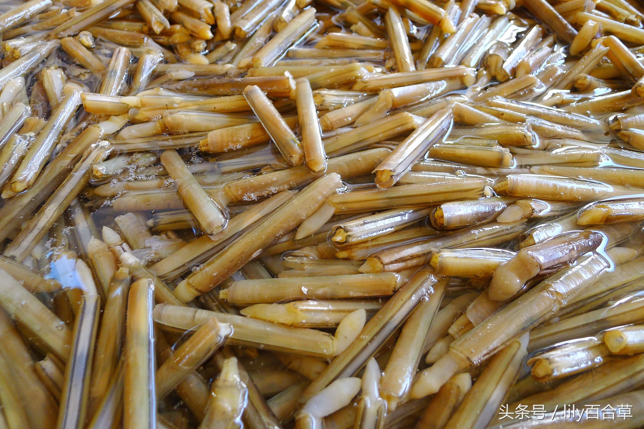 吃海鲜适合带什么,回家路上可以带海鲜吗