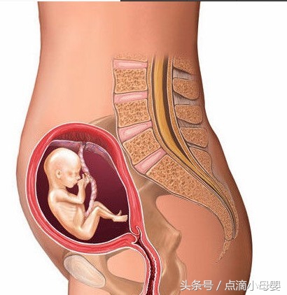 四个月胎儿发育标准，以及妈妈的身体变化