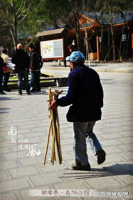 张家界国家森林公园旅游攻略,张家界品质游旅行社旅游攻略