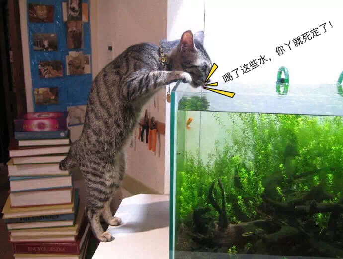 明天就是情人节了图文,明天就是情人节图片