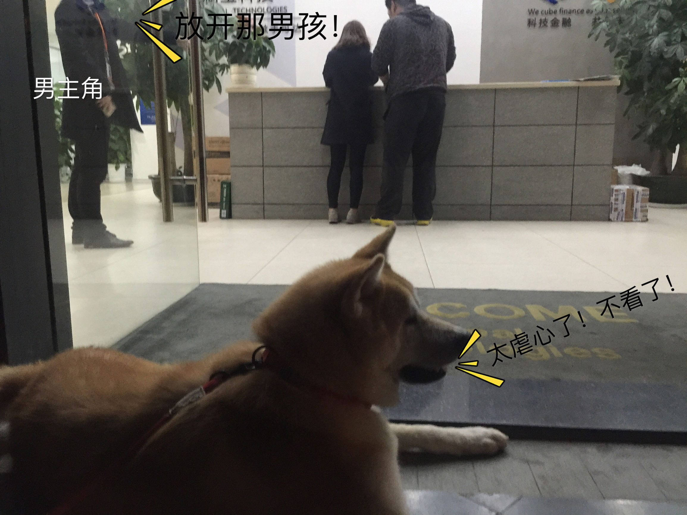 明天就是情人节了图文,明天就是情人节图片