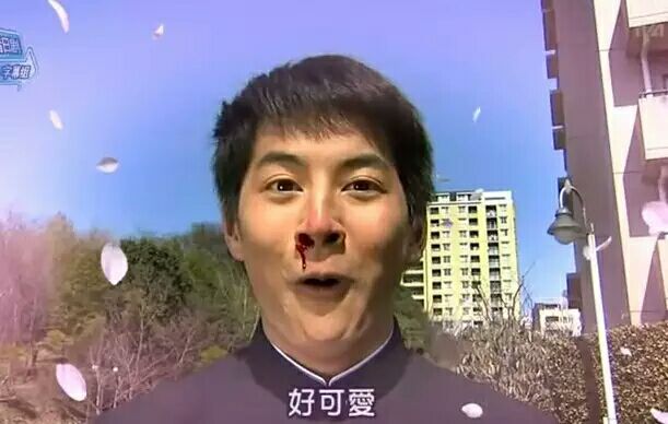 初音未来vr素材,初音未来vr演唱会视频