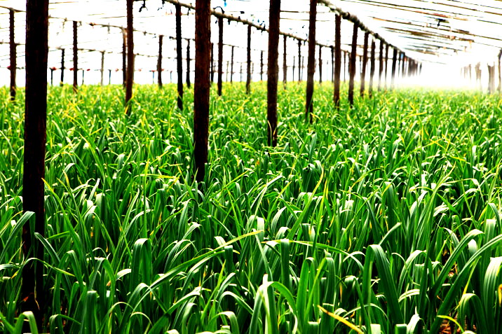 司业飞,司业飞创业行动家