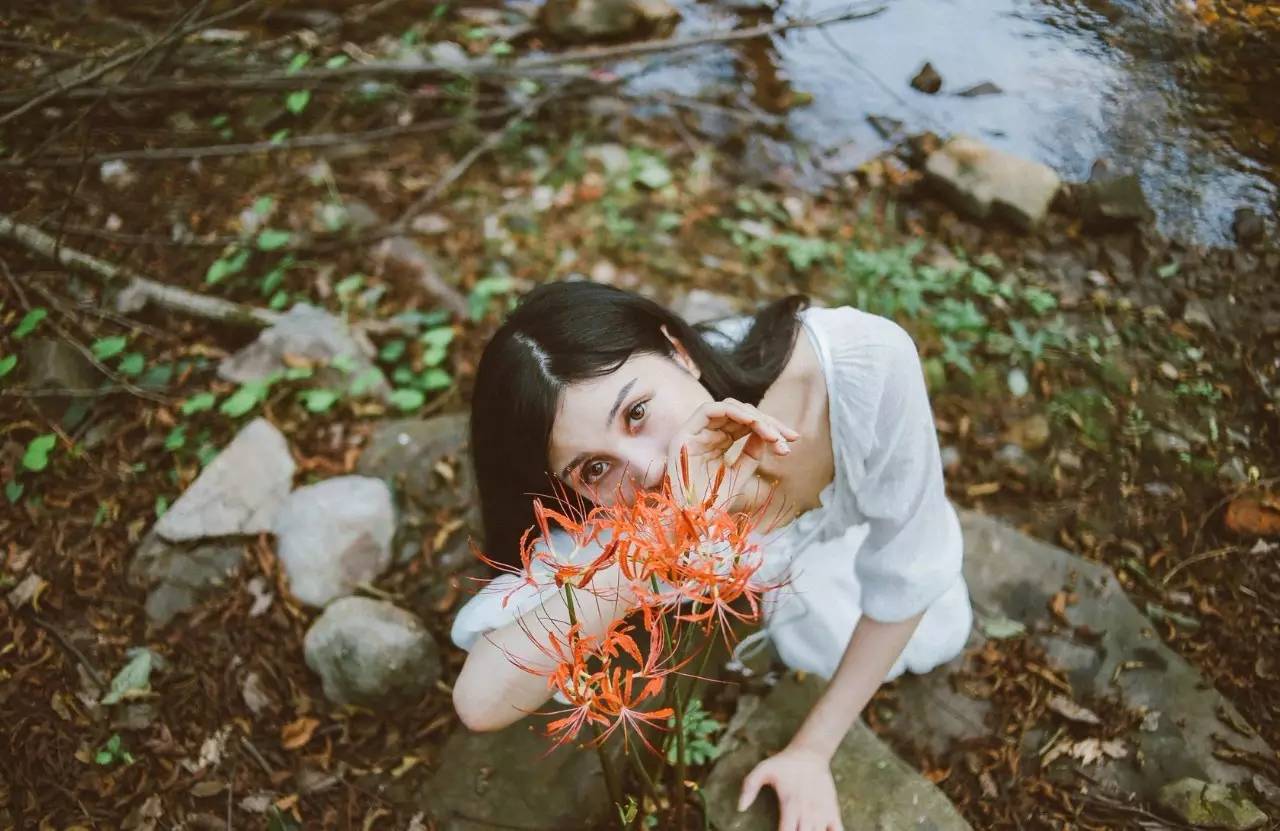 《本草》植物志之彼岸花：开一千年，落一千年，花叶不相见