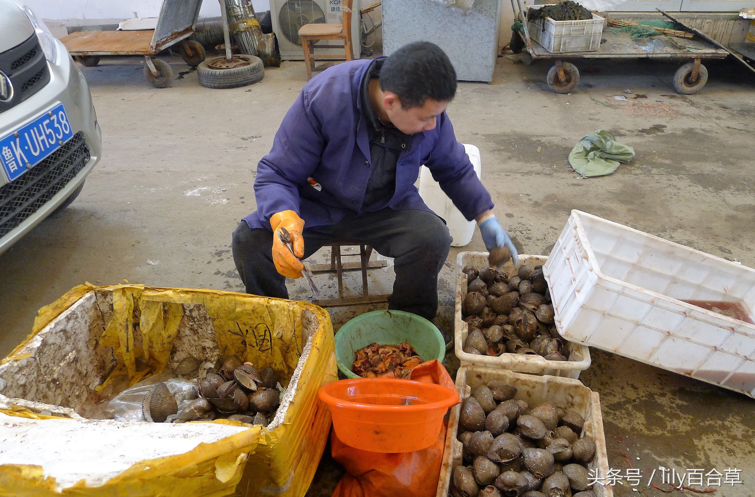 吃海鲜适合带什么,回家路上可以带海鲜吗