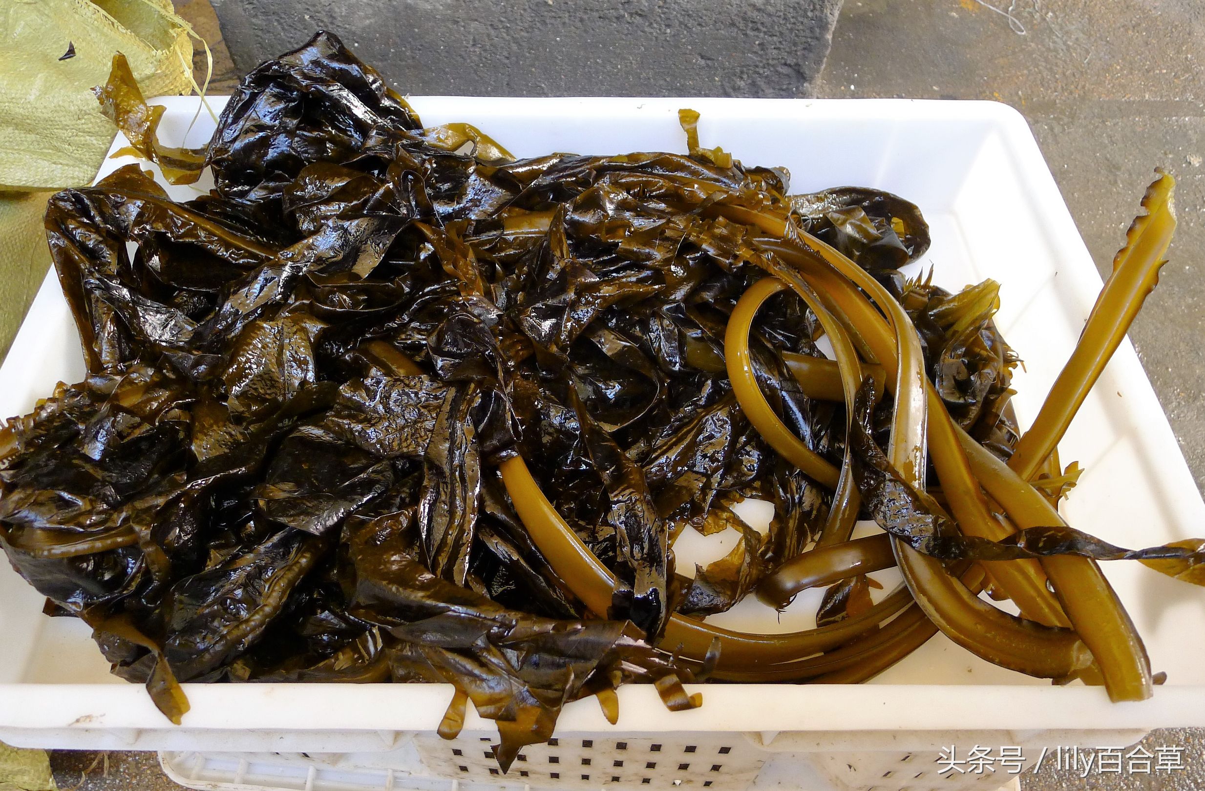 吃海鲜适合带什么,回家路上可以带海鲜吗