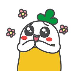 韩国悦诗风吟门店,韩国爱丽小屋和中国爱丽小屋