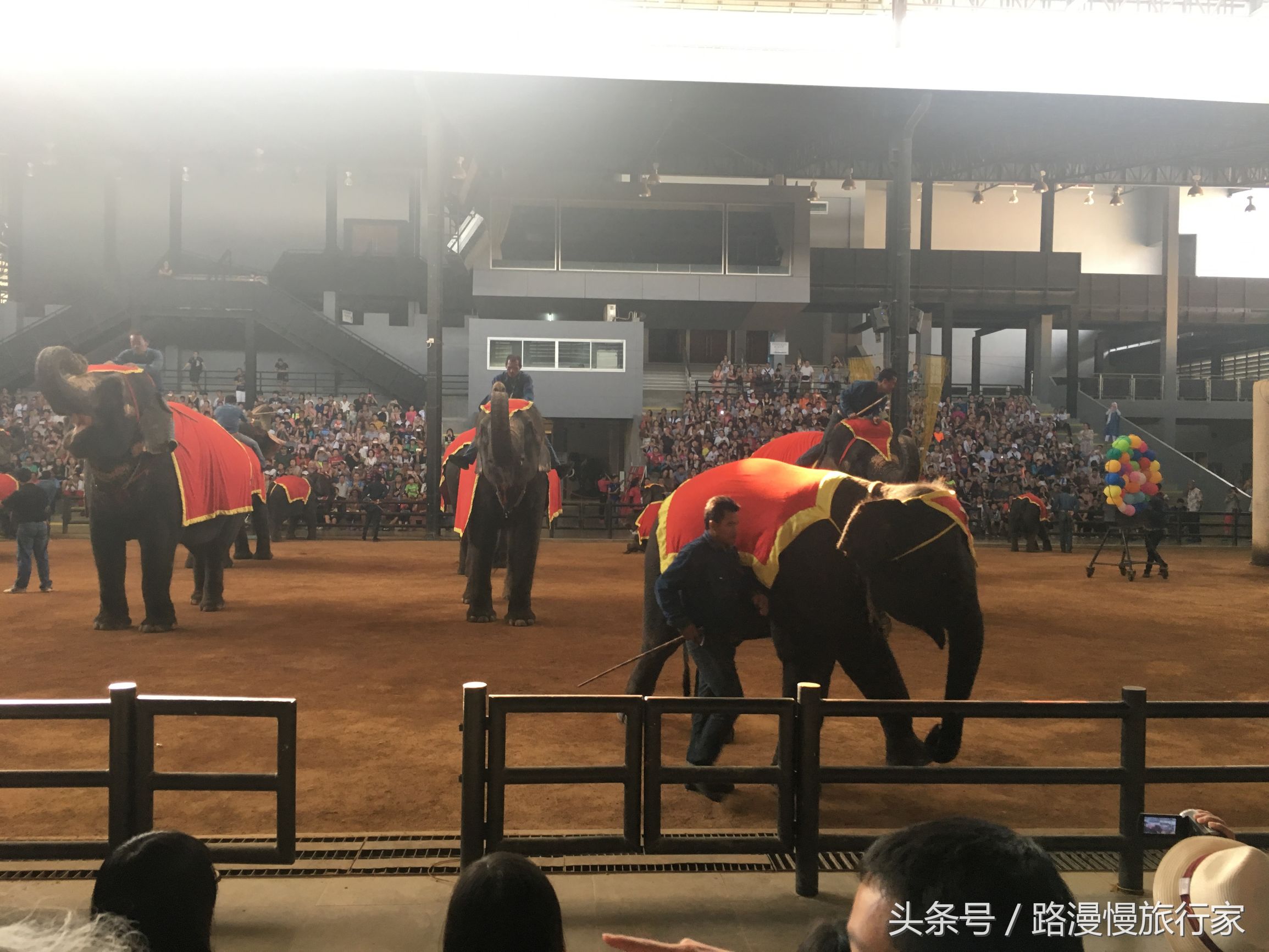 泰国曼谷跟团游旅游攻略大全 (泰国曼谷跟团游)