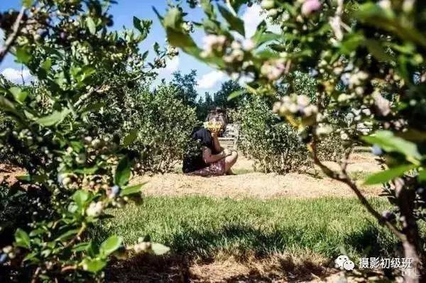 有个不会拍照的男朋友是什么体验,女朋友不爱拍照是一种什么样体验