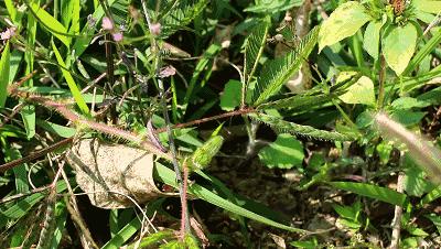 潮州好玩的农庄推荐,2022年潮州哪个农庄好玩