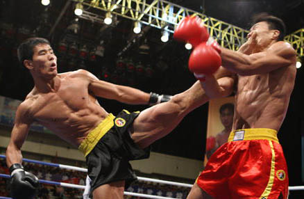 大体重散打入门,散打运动入门书