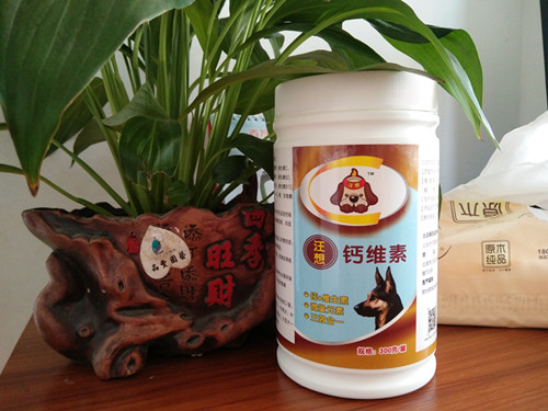 比熊摔了后腿无力,比熊一个后腿无力不敢着地