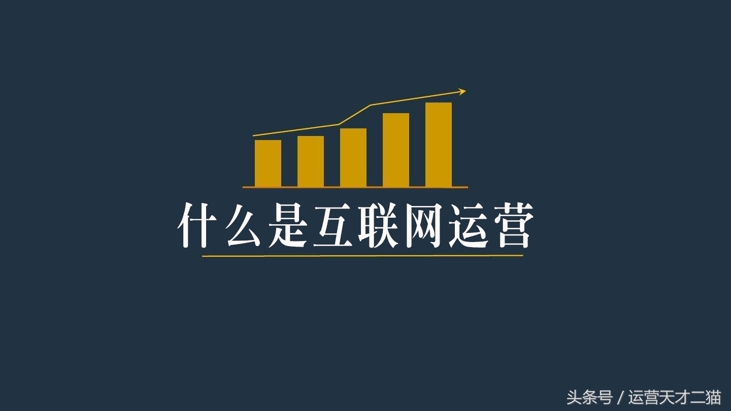 什么是互联网怎么做,什么叫互联网经营模式