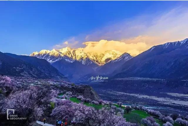 连联合国都赞不绝口的百里桃花，你真的不带她看一下吗？