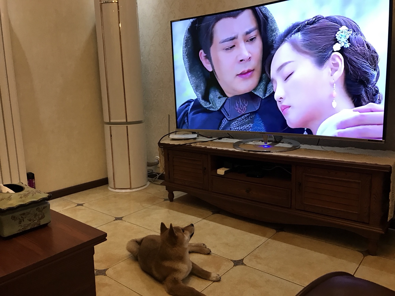 成精的那位，我家的招待可以吧