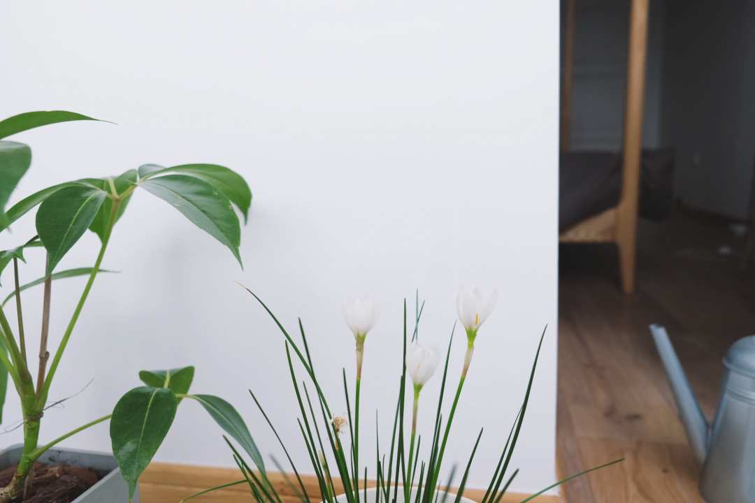 宜家的厨房橱柜质量怎么样,宜家厨房怎么样