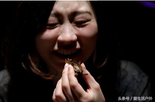 你见过用蟑螂面包虫等做的高级西餐和酒水吗？最后一个口味太重了