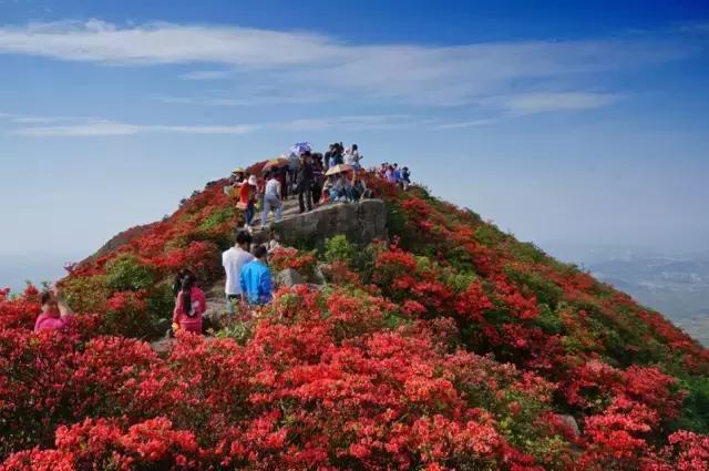 贵州省各县区经济排名,贵州地区总值多少