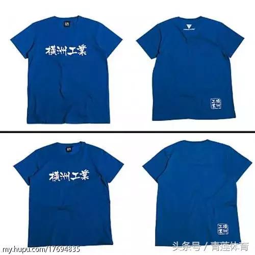 香港职业篮球联赛,香港篮球队名单大全