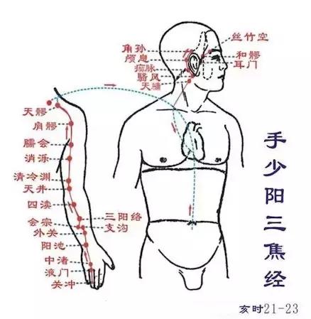 经络调理秘诀小程序,经络治百病