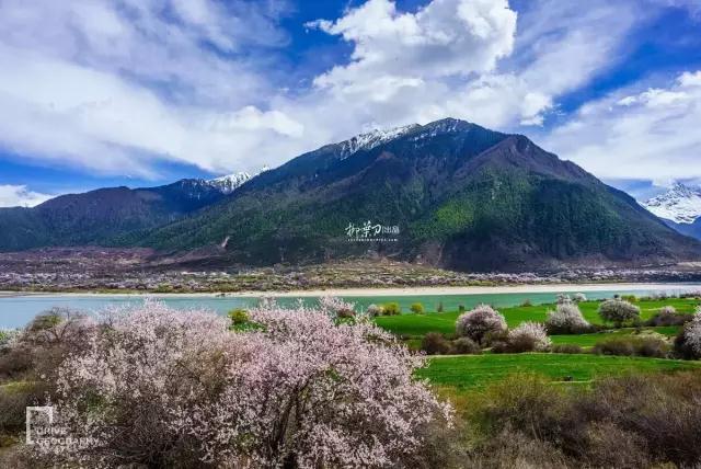 连联合国都赞不绝口的百里桃花，你真的不带她看一下吗？