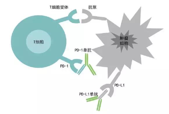 靶点新药最新,靶点治疗最新进展