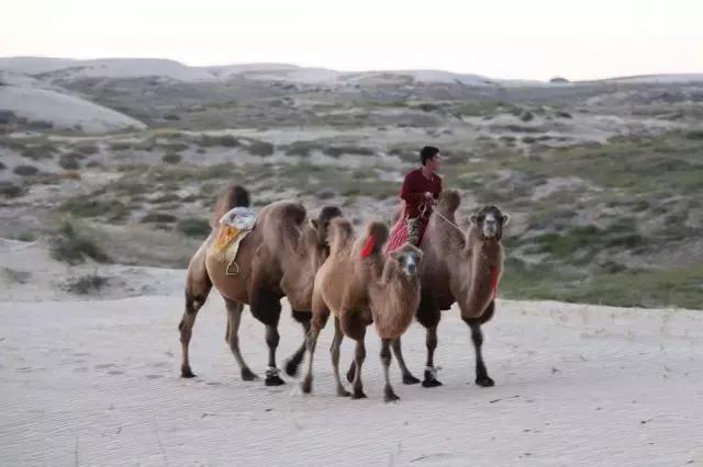 冬季奈曼沙漠旅游攻略,国庆适合去哪里的沙漠