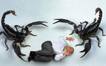 香港谋杀案疑凶有精神病记录,港铁纵火案中文