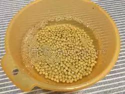 绿豆红枣枸杞豆浆,黄豆红枣枸杞豆浆功效