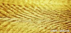 金丝楠木家具好还是乌金木家具好,金丝楠木家具和紫檀家具哪个好