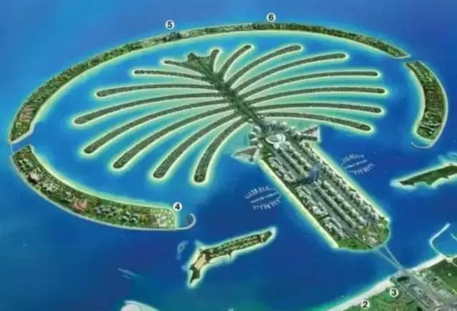 去迪拜必买的伴手礼,去迪拜必买的十种食物