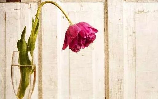 卵巢早衰彩超显示卵巢小怎么调理,子宫卵巢衰老能治吗