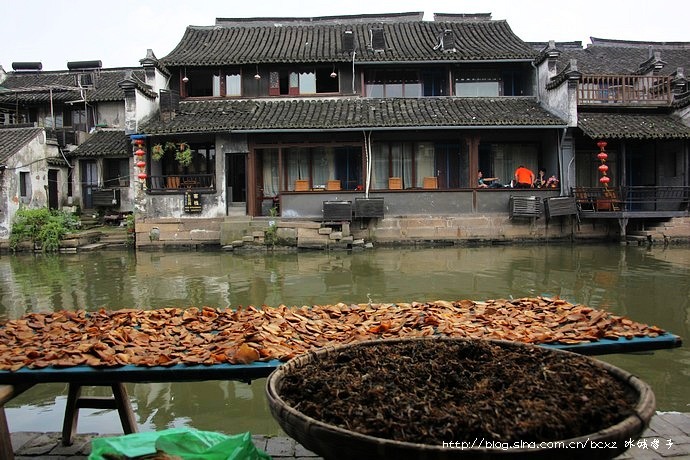 西塘有什么推荐的小吃,舌尖上的美食西塘