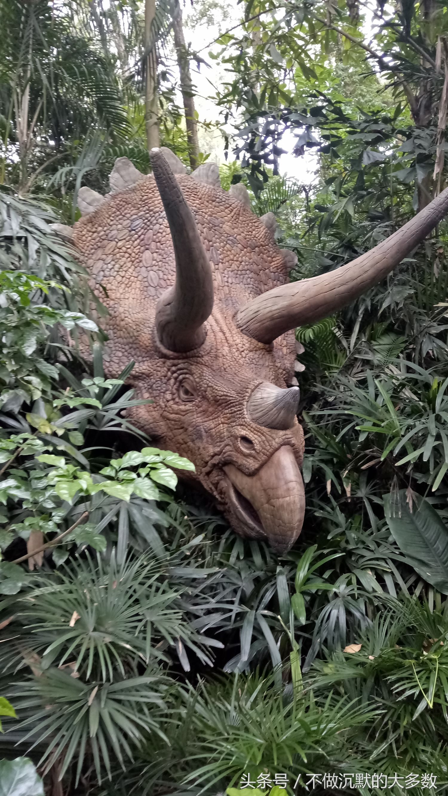 广州长隆野生动物园金蛇秘境直播,长隆野生动物园金蛇秘境害怕吗